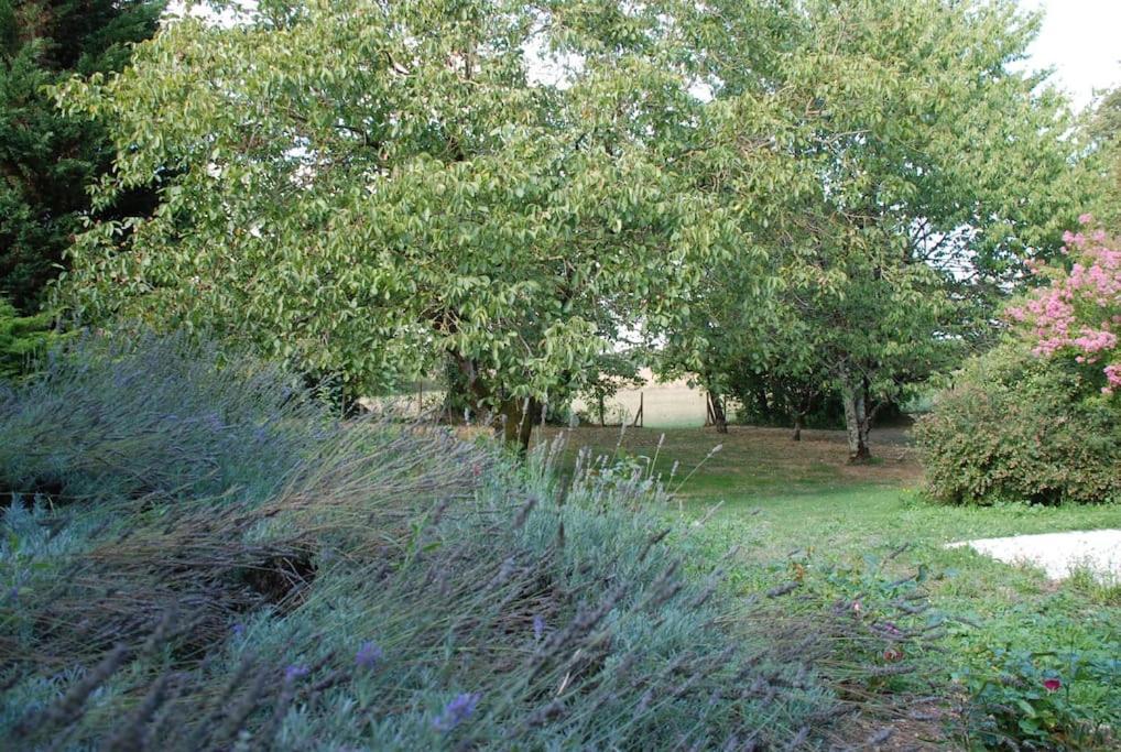 Uniquely Private Holiday Villa In The Charente Puyreaux Екстер'єр фото