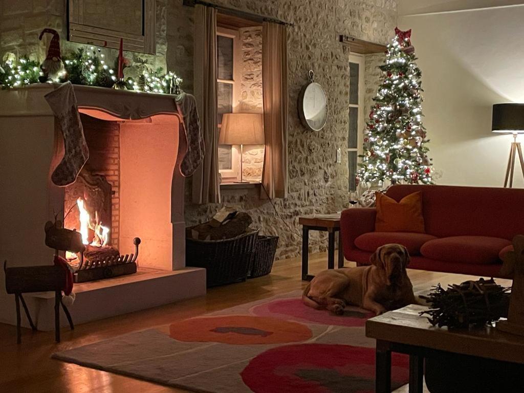 Uniquely Private Holiday Villa In The Charente Puyreaux Екстер'єр фото