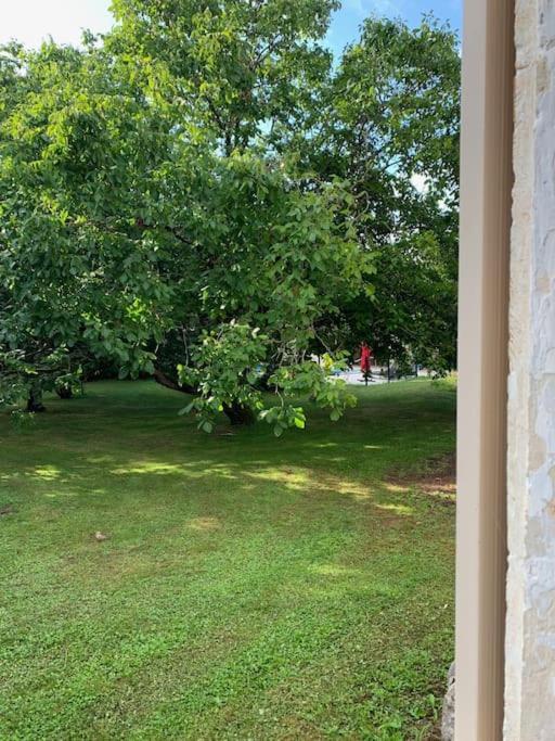 Uniquely Private Holiday Villa In The Charente Puyreaux Екстер'єр фото