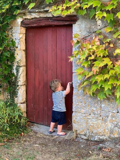Uniquely Private Holiday Villa In The Charente Puyreaux Екстер'єр фото